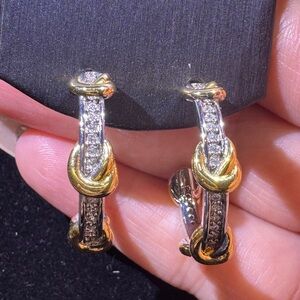 Elegant Gold and Silver Hoop Earrings